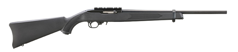 Ruger 10.22